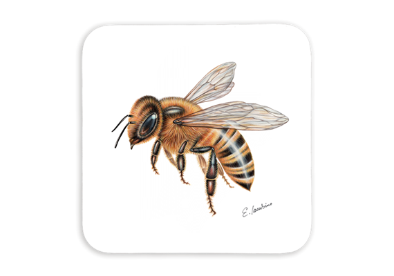 Untersetzer Biene, 9x9cm