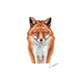 Untersetzer Fuchs, 9 x 9cm