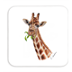 Untersetzer Giraffe, 9x9cm