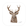Untersetzer Hirsch, 9 x 9cm