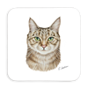 Untersetzer Katze, 9x9cm