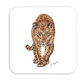Untersetzer Leopard, 9x9cm