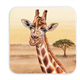 Untersetzer Wild Giraffe, 9x9cm
