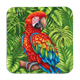 Untersetzer Wild, Papagei, 9x9cm