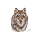 Untersetzer Wolf, 9 x 9cm