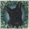 Weihnachts Katze, Karte 18x18cm Crystal Art