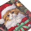 Weihnachtskätzchen, 18x18cm Crystal Art Card | Bild 2