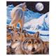 Wölfe, Wächter der Nacht Bild 40x50cm Crystal Art Kit