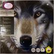 Wolf, 30x30cm Crystal Art Kit | Bild 5