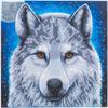 Wolf im Mondlicht, Bild 30x30cm Crystal Art