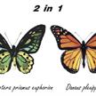 2in1 Schmetterling Bausatz | Bild 2