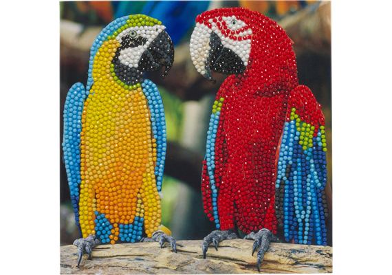 Amis des perroquets, carte 18x18cm Crystal Art