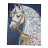 Arc-en-ciel lion, image 40x50cm Crystal Art Kit