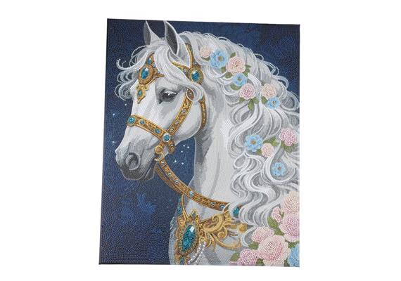 Arc-en-ciel lion, image 40x50cm Crystal Art Kit