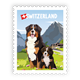 Briefmarkensticker Berner Sennenhund - Switzerland