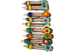 Buntstifte mit Magnet und Blume, 9cm, Set à 9 ass, mit Einsiedeln