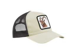 Cap sand, Steinbock