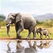 Éléphant, carte 18x18cm Crystal Art | Bild 4