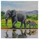 Éléphant, carte 18x18cm Crystal Art