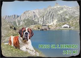 Fotomagnet Holz mit Bernhardiner Hund am See