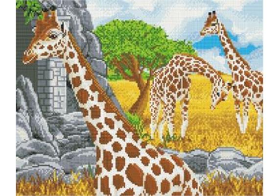 Girafes au pâturage, 40x50cm Crystal Art Kit