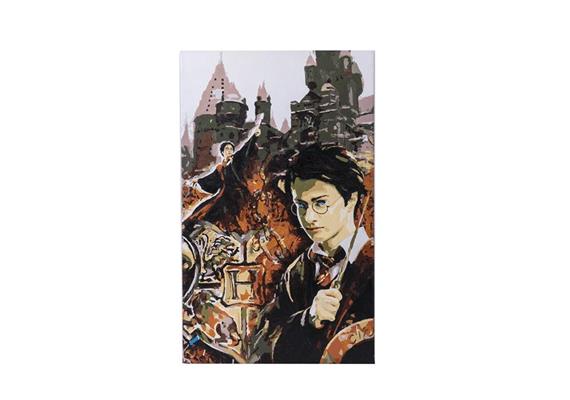 Harry Potter, 30x30cm Paint By Numbers Kit