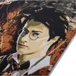 Harry Potter, 30x30cm Paint By Numbers Kit | Bild 3