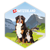 Hexagonsticker Berner Sennenhund - Switzerland