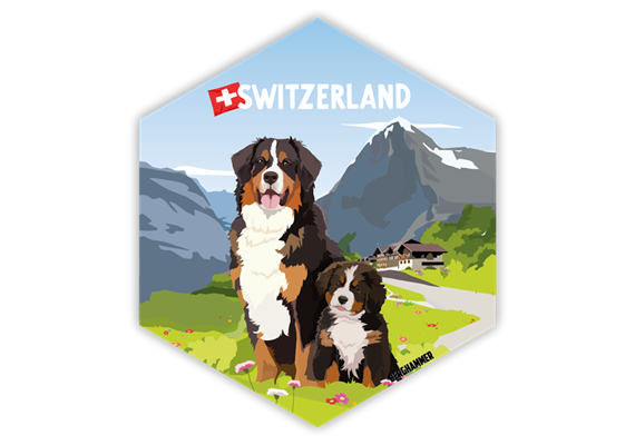 Hexagonsticker Berner Sennenhund - Switzerland