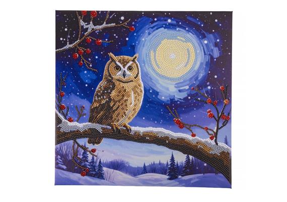 La chaussette du Père Noël, 30x30cm Crystal Art Kit