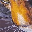 Le Tigre, Image 70x70cm Crystal Art Kit | Bild 3