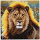 Lion au repos, carte 18x18cm Crystal Art
