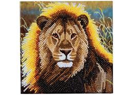 Lion au repos, carte 18x18cm Crystal Art
