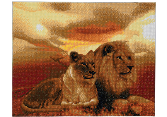 Lions de la savane, 40x50cm Crystal Art Kit