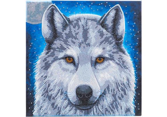 Loup au clair de lune, image 30x30cm Crystal Art Kit