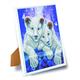 Louveteaux du tigre blanc, image 21x25cm avec cadre Crystal Art