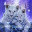 Louveteaux du tigre blanc, image 21x25cm avec cadre Crystal Art | Bild 2