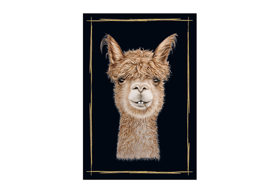 Magnet Alpaka