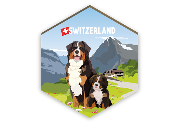 Magnet Berner Sennenhund - Switzerland
