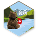 Magnet Braunbär Bern