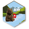 Magnet Braunbär Bern