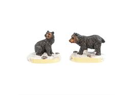 Magnet Braunbären, 2 assortiert