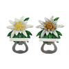 Magnet Edelweiss mit Flaschenöffner, 2 assortiert