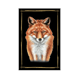 Magnet Fuchs