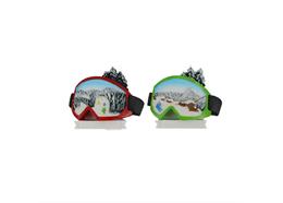 Magnet Landschaft in Skibrille, 2 assortiert