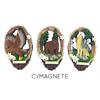 Magnet Sommer Tiere, 3 assortiert