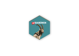 Magnet Steinbock - Graubünden