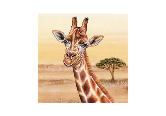 Magnet Wild Giraffe