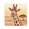 Magnet Wild Giraffe