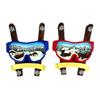 Magnet Winter Skibrille mit Holzski, rot/blau, 2 assortiert